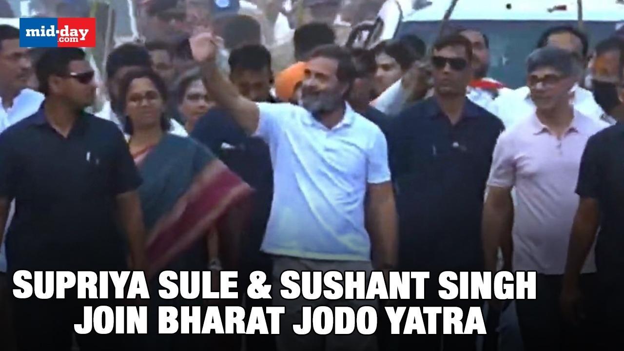 Supriya Sule and actor Sushant Singh Join Bharat Jodo Yatra With Rahul Gandhi