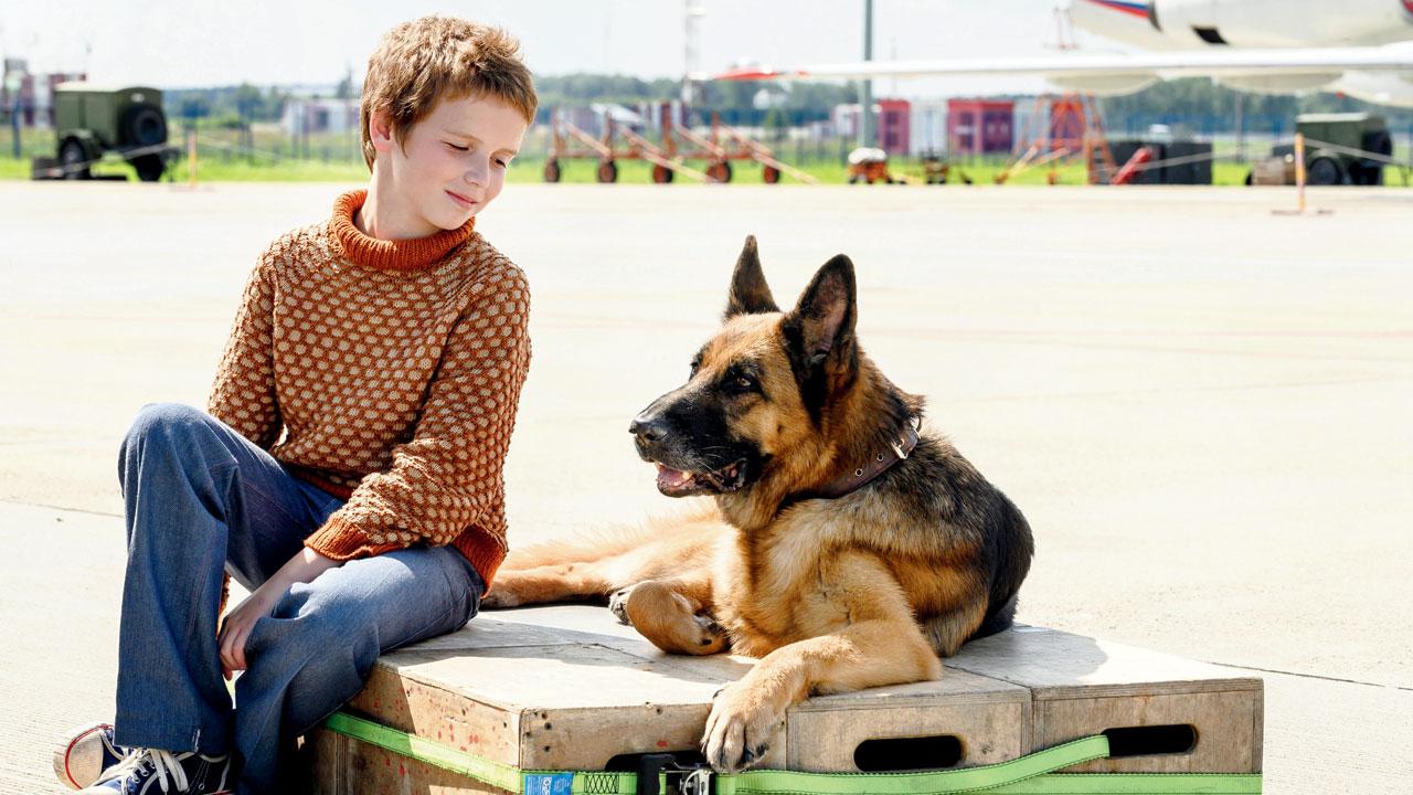 A still from A Dog Named Palma