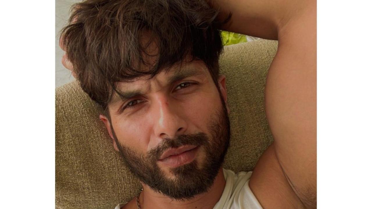 Whacky Wednesday: Shahid Kapoor questions Mira Rajput about his 'hairy leg'