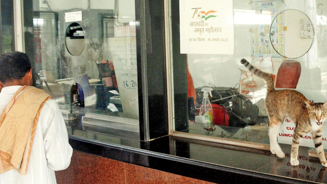 Mumbai Diary: Friday Dossier