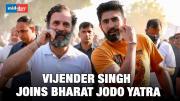 Boxer Vijender Singh Walks With Rahul Gandhi In Bharat Jodo Yatra