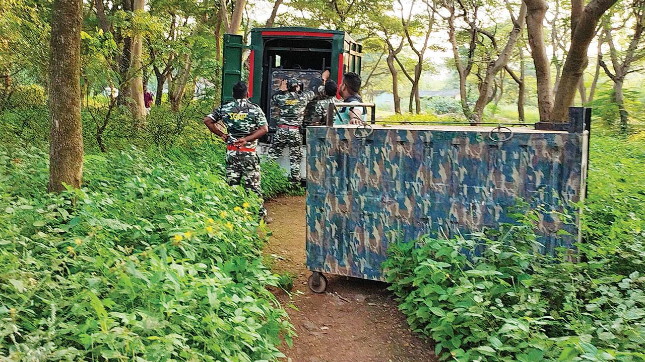 2 leopardesses trapped at Aarey Milk Colony