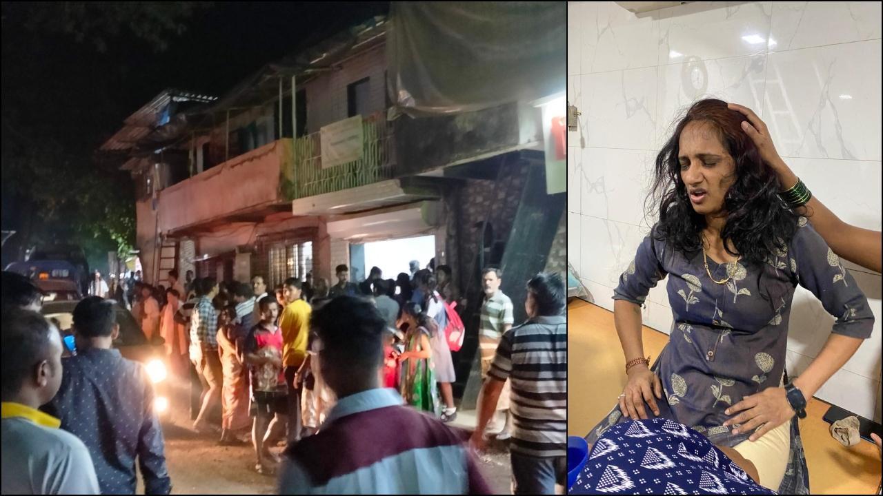 Mumbai: Leopard attacks 38-year-old woman in Aarey colony