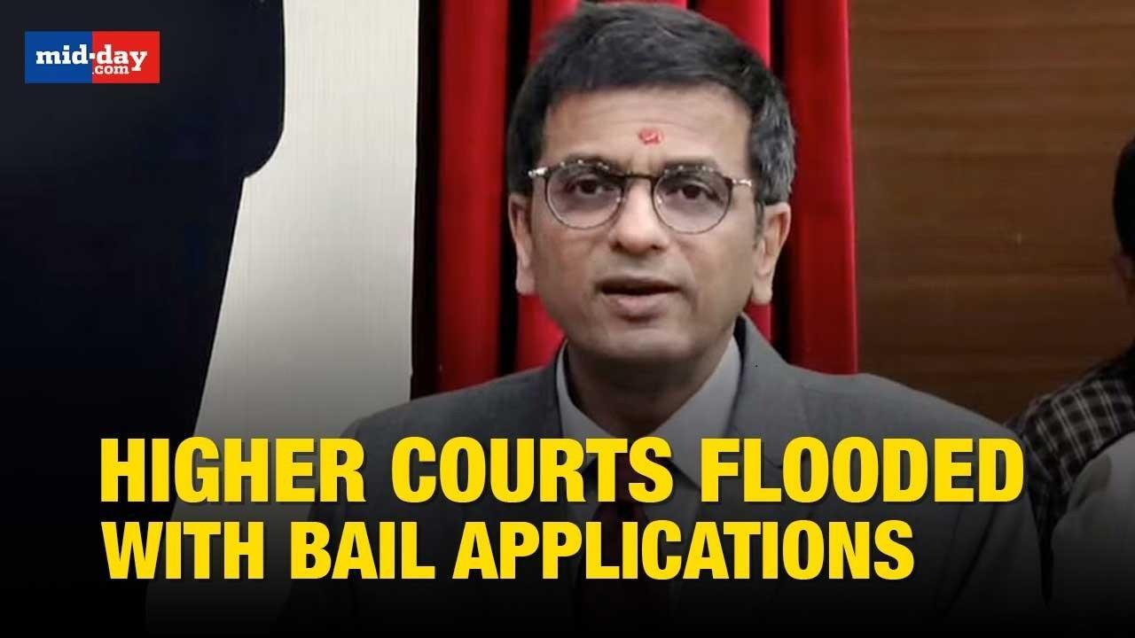  Judges Reluctant To Grant Bail For Fear Of Being Targeted: CJI Chandrachud