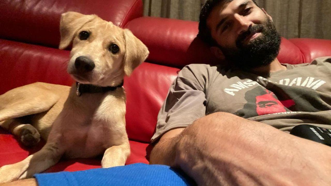 Did we say that Aditya is an ardent lover of animals! 