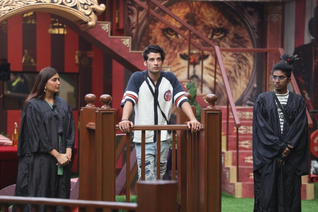 Bigg Boss 16 Day 33 Updates- Priyanka sits on Ankit's lap and they patch up