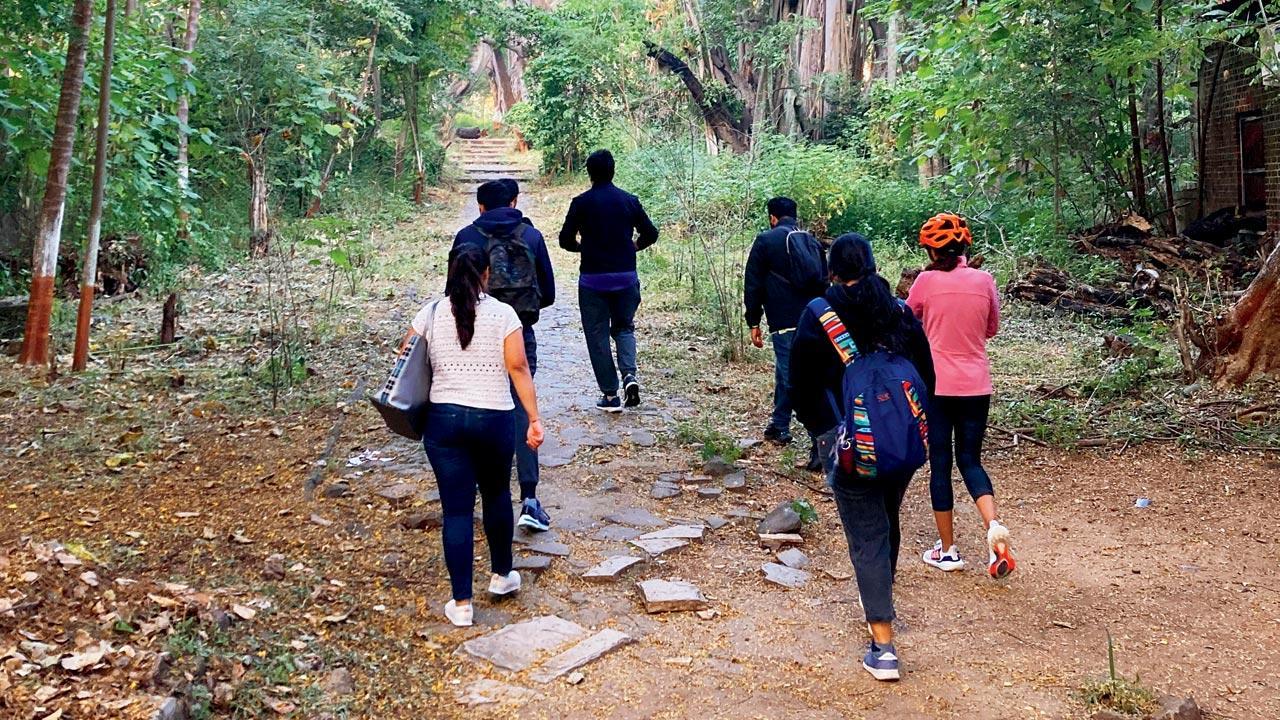 Nature’s healing touch: Here's an alternate way to reconnect with nature in Pune