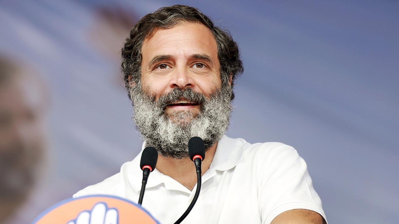 Congress steering committee to meet on Dec 4, Bharat Jodo Yatra, organisational issues on agenda