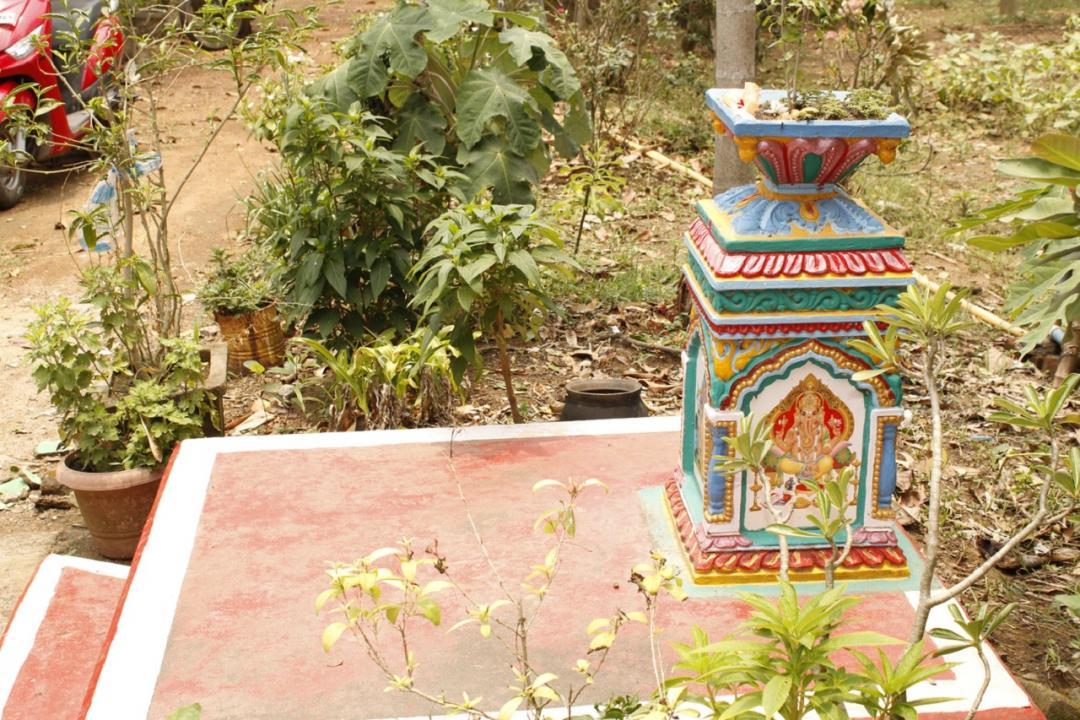Tulsi Vivah 2022: Five things to know to observe the Hindu festival