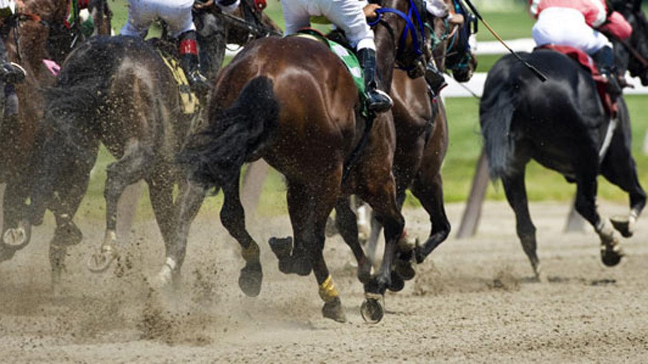 Jodhpur set to host annual polo season