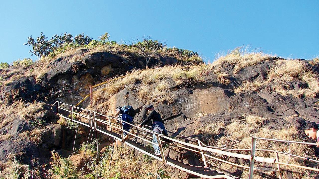 Looking for some adventure? Here are three treks to sign up for this weekend