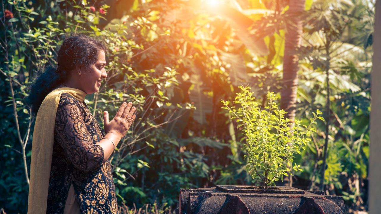 Tulsi Vivah 2022: History and significance