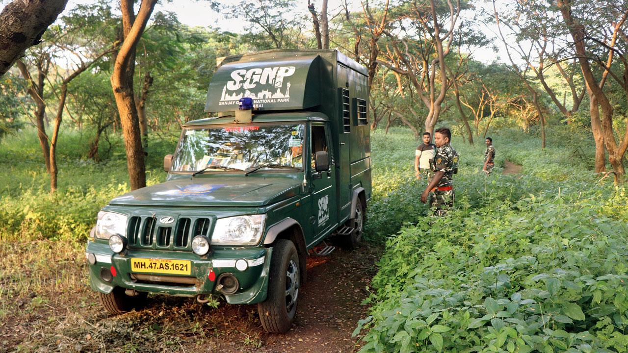 An SGNP wildlife ambulance patrols the area near Unit no. 15. Pic/Anurag Ahire