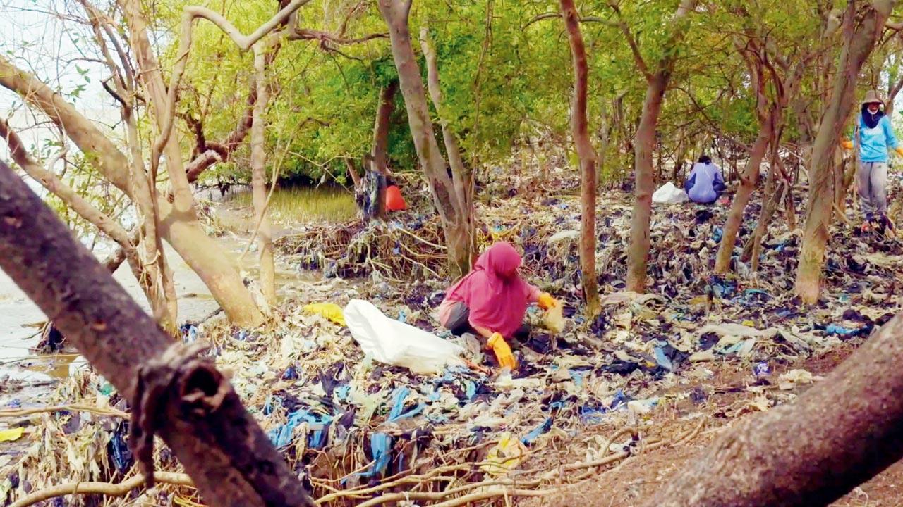 A scene from The Recycling Lie