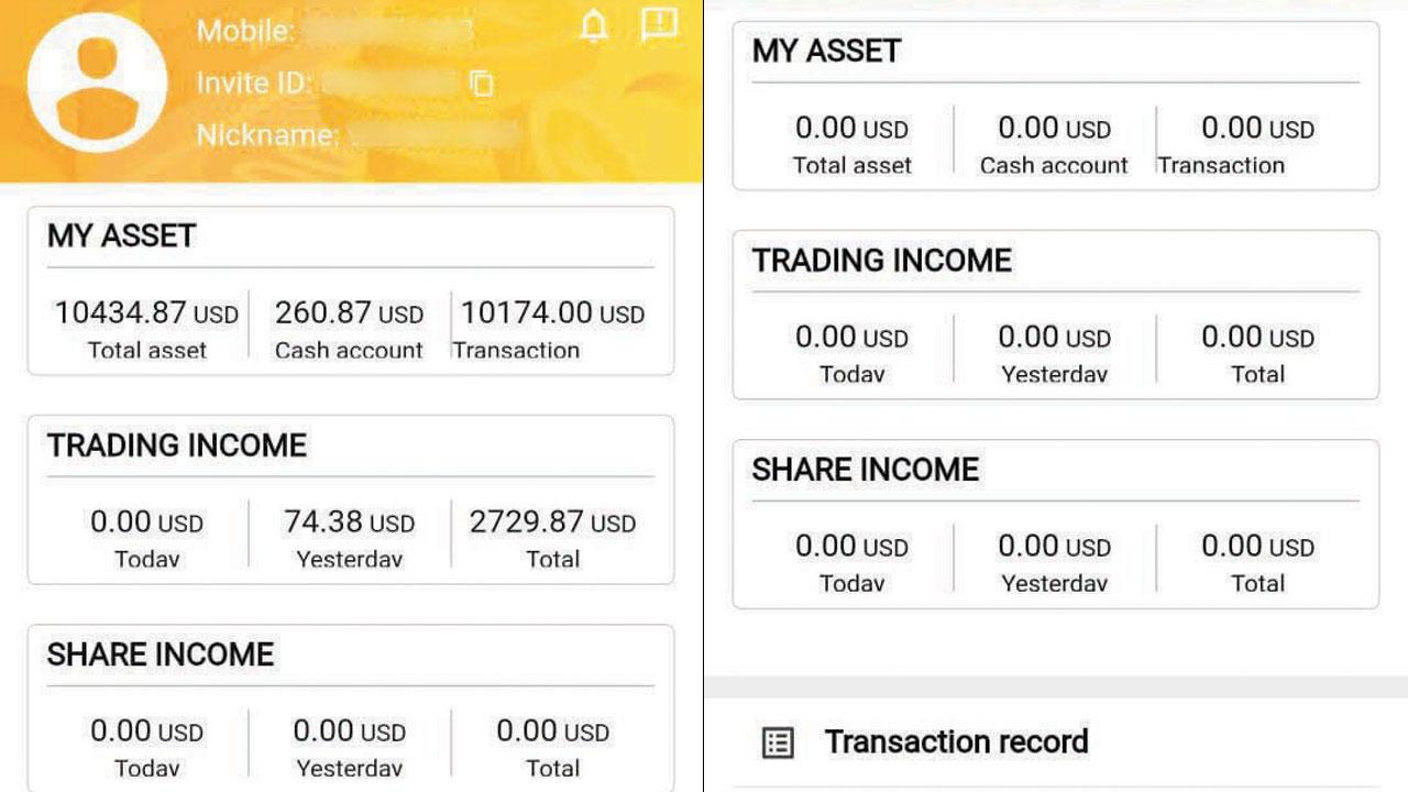 Account details of an investor on Ece Limited before the app stopped service (left) The account now shows all amounts as zero