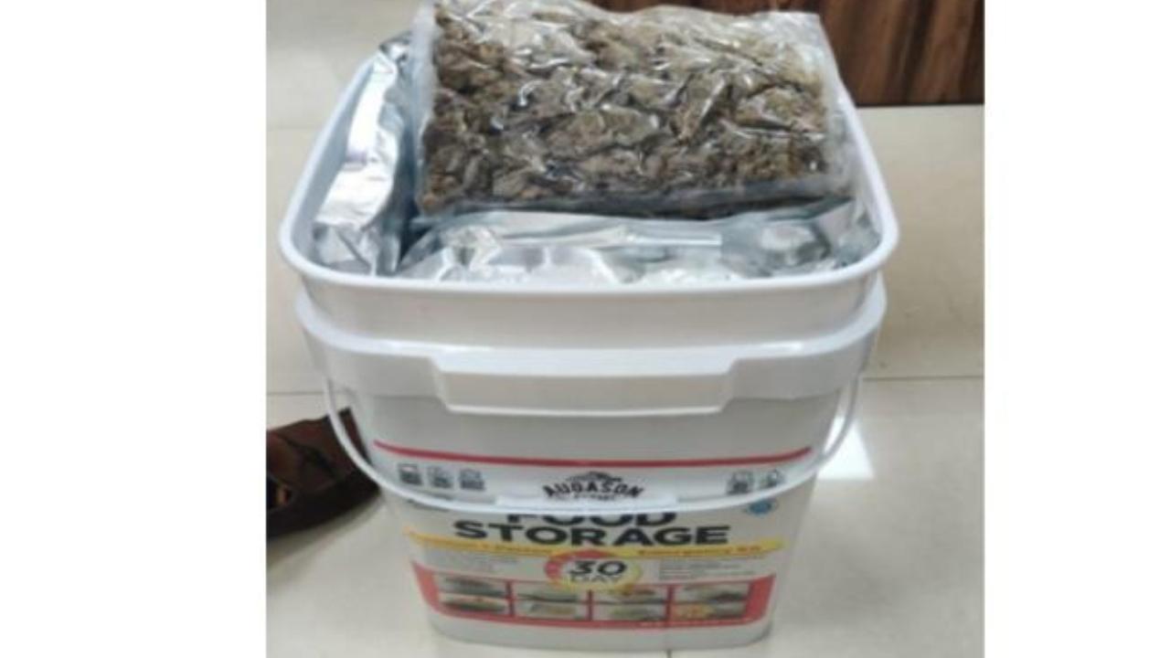 Mumbai: DRI busts international drug smuggling racket, 3.5 kgs of hydroponic weed seized