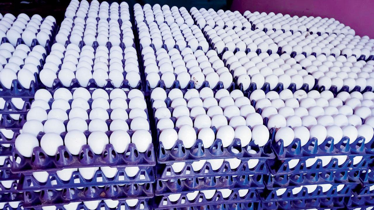 Mumbai: Student duped of Rs 44,200 after ordering 30,000 eggs