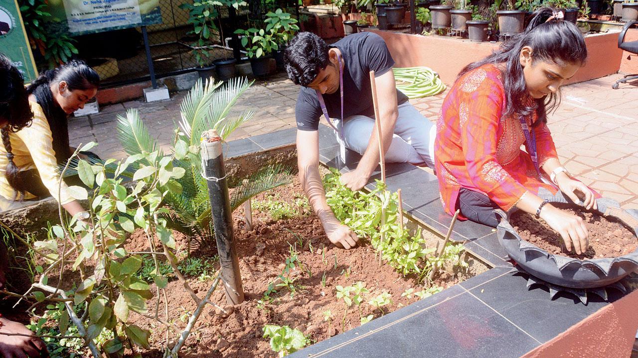 Mumbai: College students promote organic farming