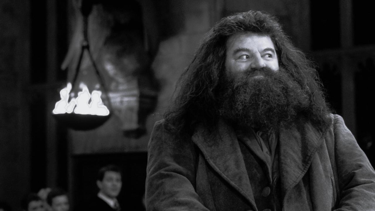 Harry Potter cast share fond memories with Robbie Coltrane aka Rubeus Hagrid