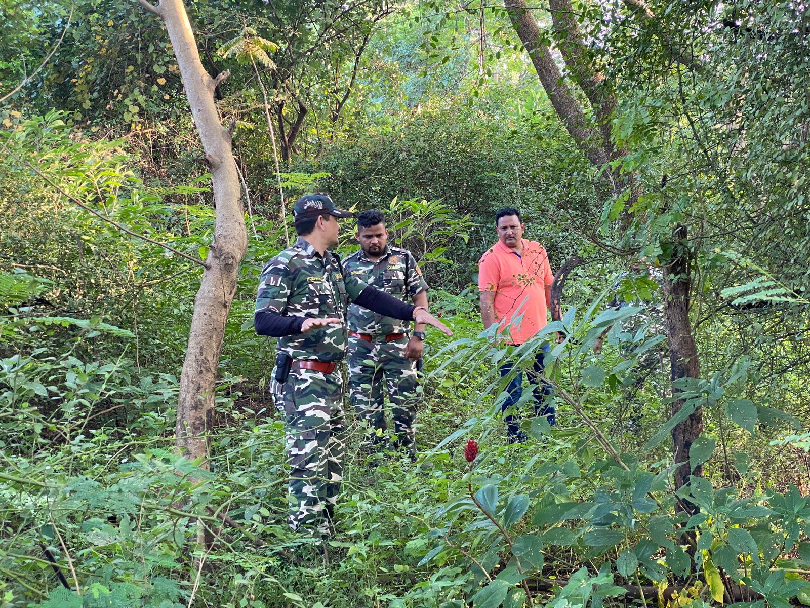 Volunteers from the Aarey Camera Trapping Team and NGO WWA are assisting the forest department to trap C-56. On Monday night, one trap cage was set up in the green zone, while two more were installed on Tuesday night