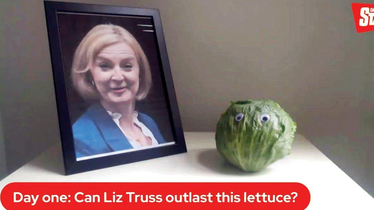 Let-tuce survive: City-based home chefs make lettuce a cooler veggie with these recipes