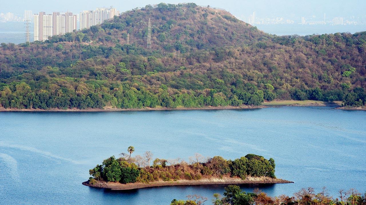 Mumbai: October rain ensures lakes are full, almost