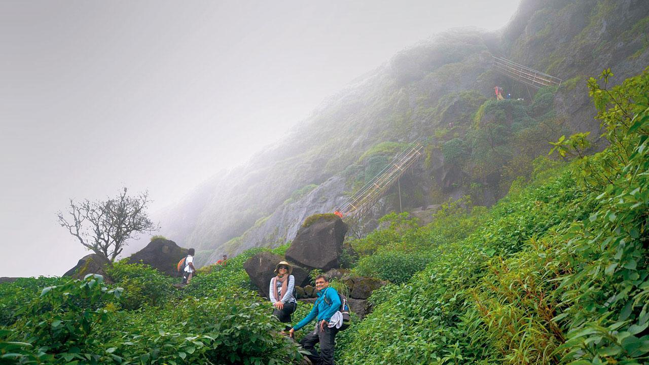 Looking to explore nature? Sign up for these three trips this weekend