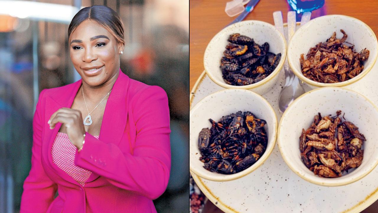 Serena Williams serves cockroaches at her party