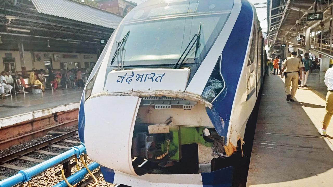 Mumbai-Ahmedabad Vande Bharat train sees third cattle runover in just a month