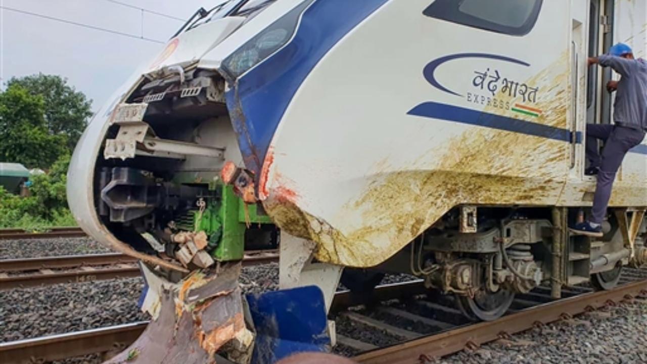 Vande Bharat train damaged: Strongest nose would break in such cases, says creator