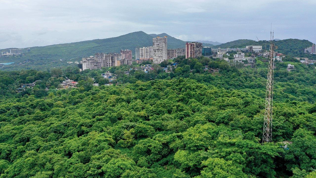 Mumbai: Forest department to fortify Aarey colony with four outposts at vantage points