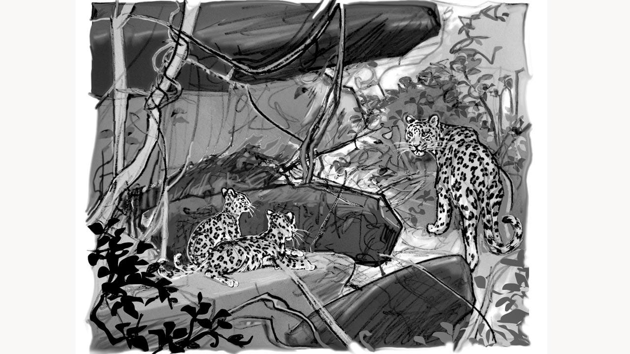The book salutes India’s forest guards and their relationship with fauna. Illustrations/Maya Ramaswamy, Talking Cub, Imprint of Speaking Tiger