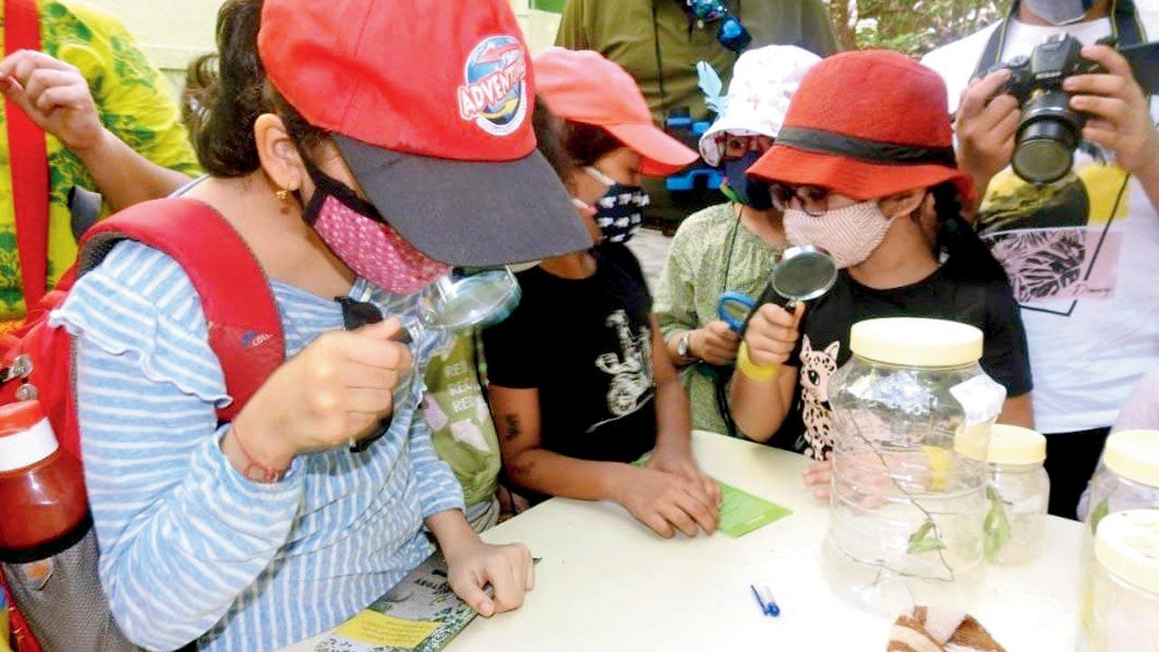 Participants learn about the butterfly life cycle at a previous edition