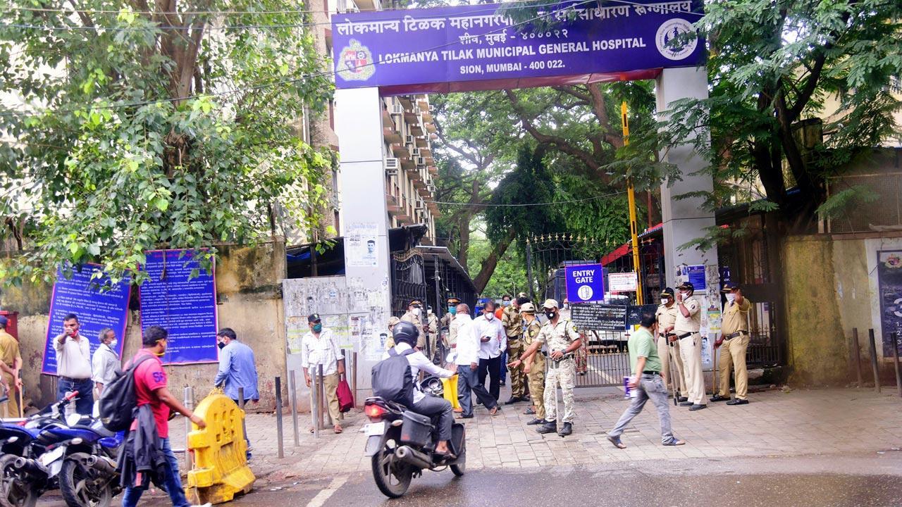 Mumbai: Doctors sound alarm on rising dengue cases