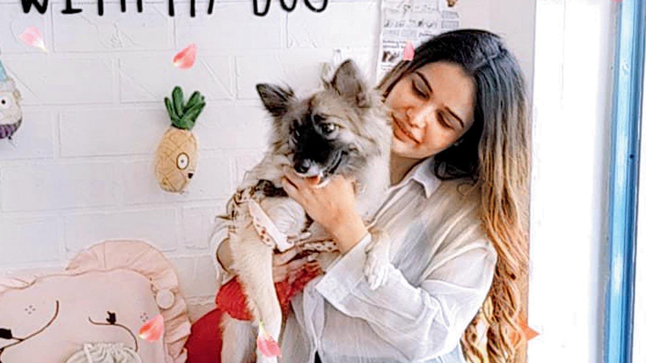 Let’s get into paw-sitive mode: Here's where your pets can get a free grooming session