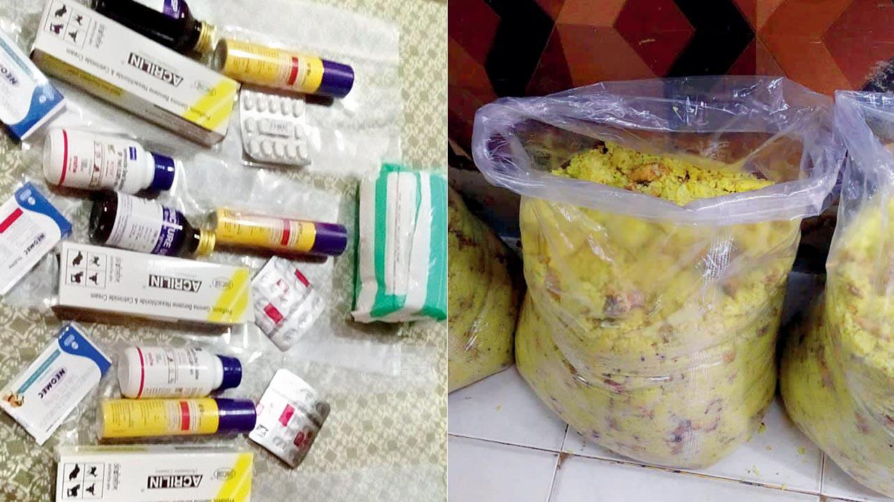 Volunteers also took medicines for injured and sick dogs; (right) the cooked rice and chicken taken for the stray dogs