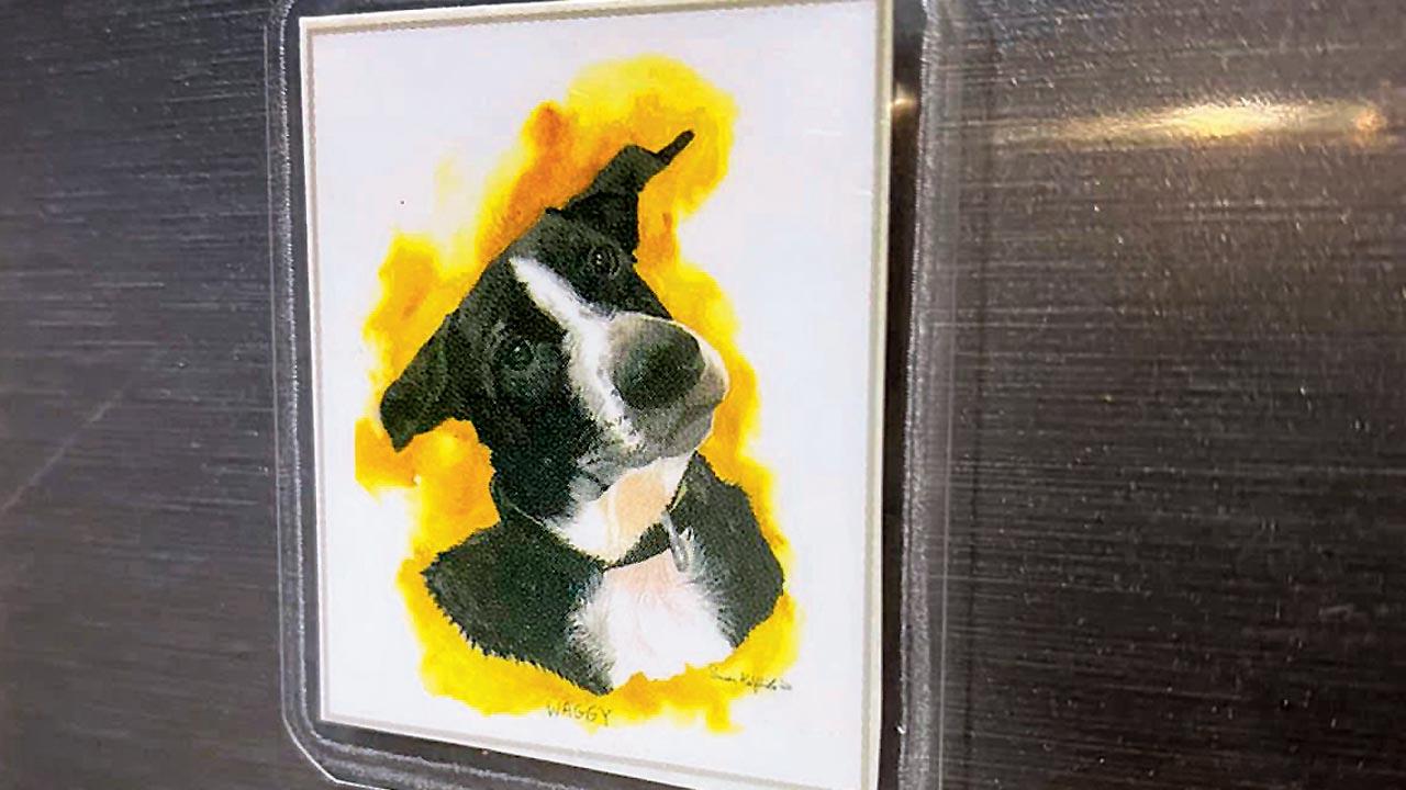 Woof, what an idea