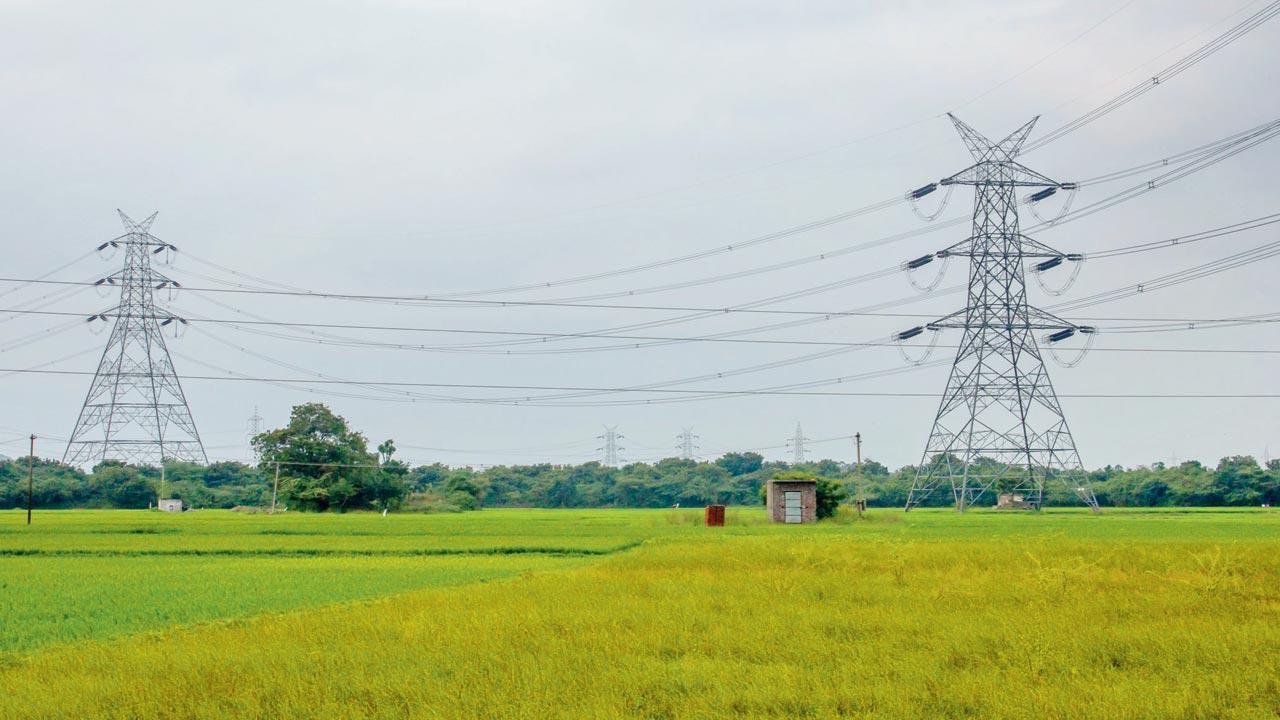 Double compensation for land used for electricity transmission towers