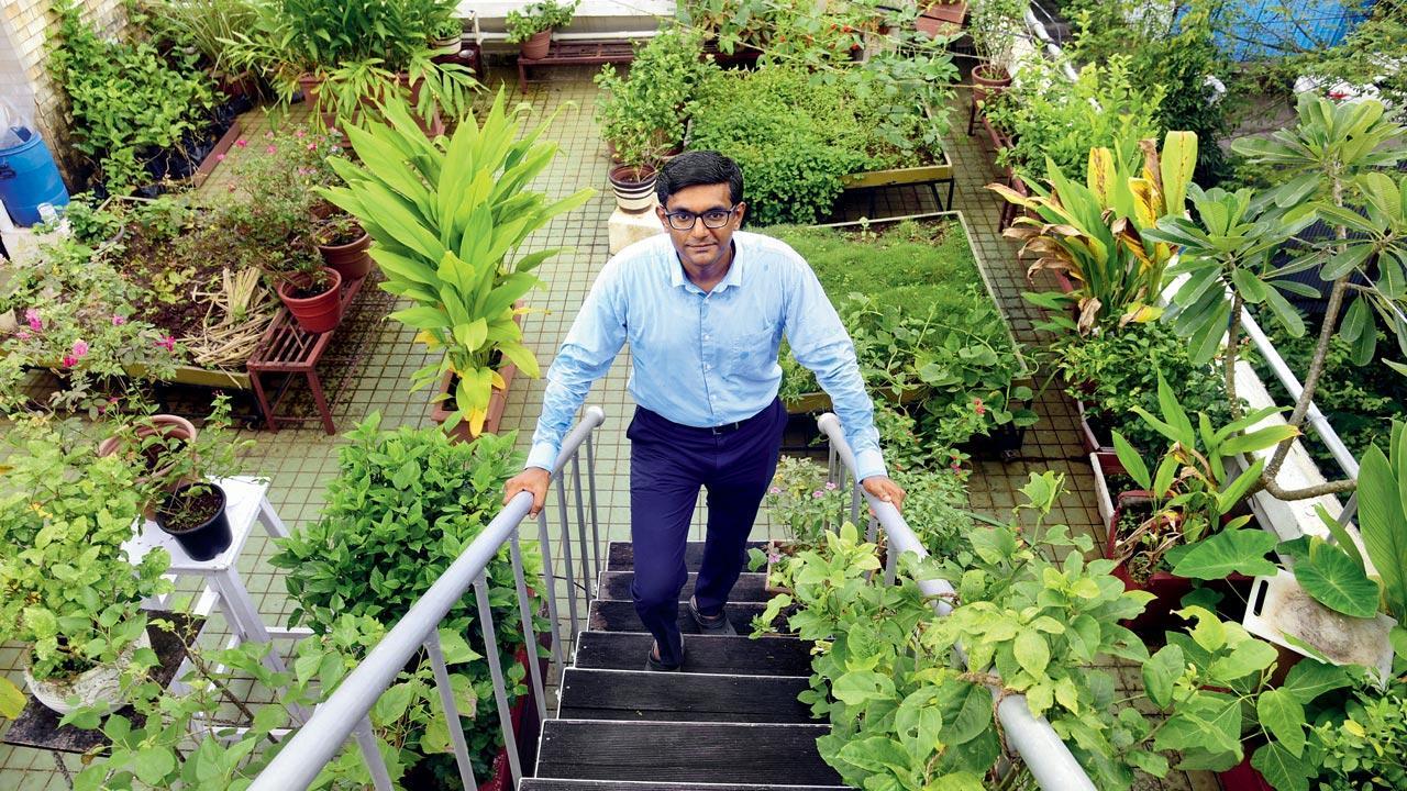 Why this Chembur urban gardener started a micro farm, and here's how you can do it