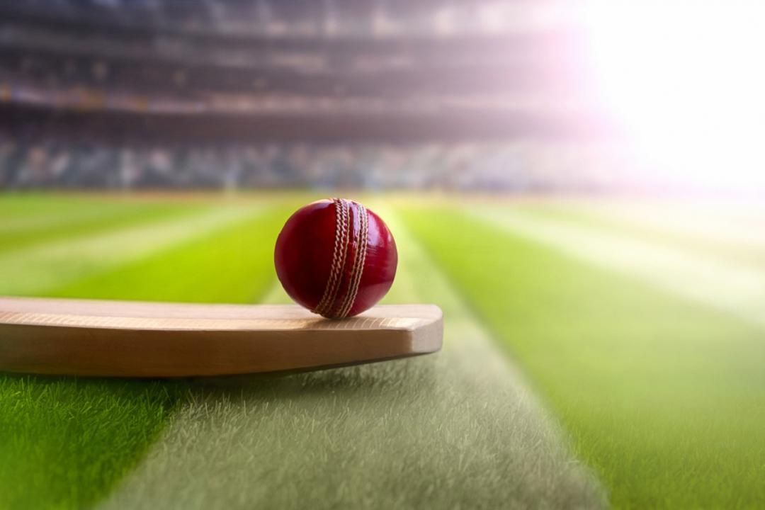 T20 World Cup: Australia win toss, elect to bowl against New Zealand
