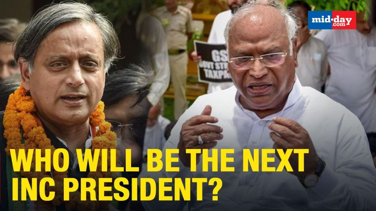 Kharge Vs Tharoor; Who will be the next INC President?