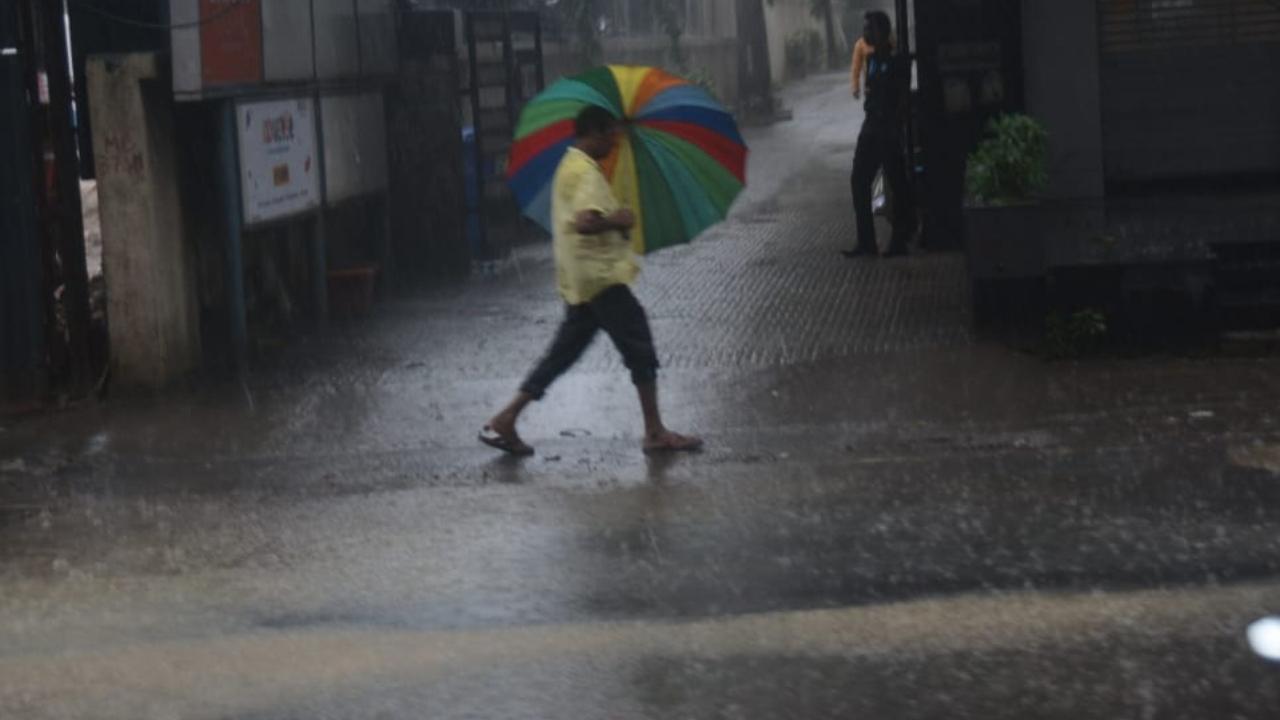 Thane gets 47.49 mm rain in 8-hour period; city's RDMC gets 79 new posts