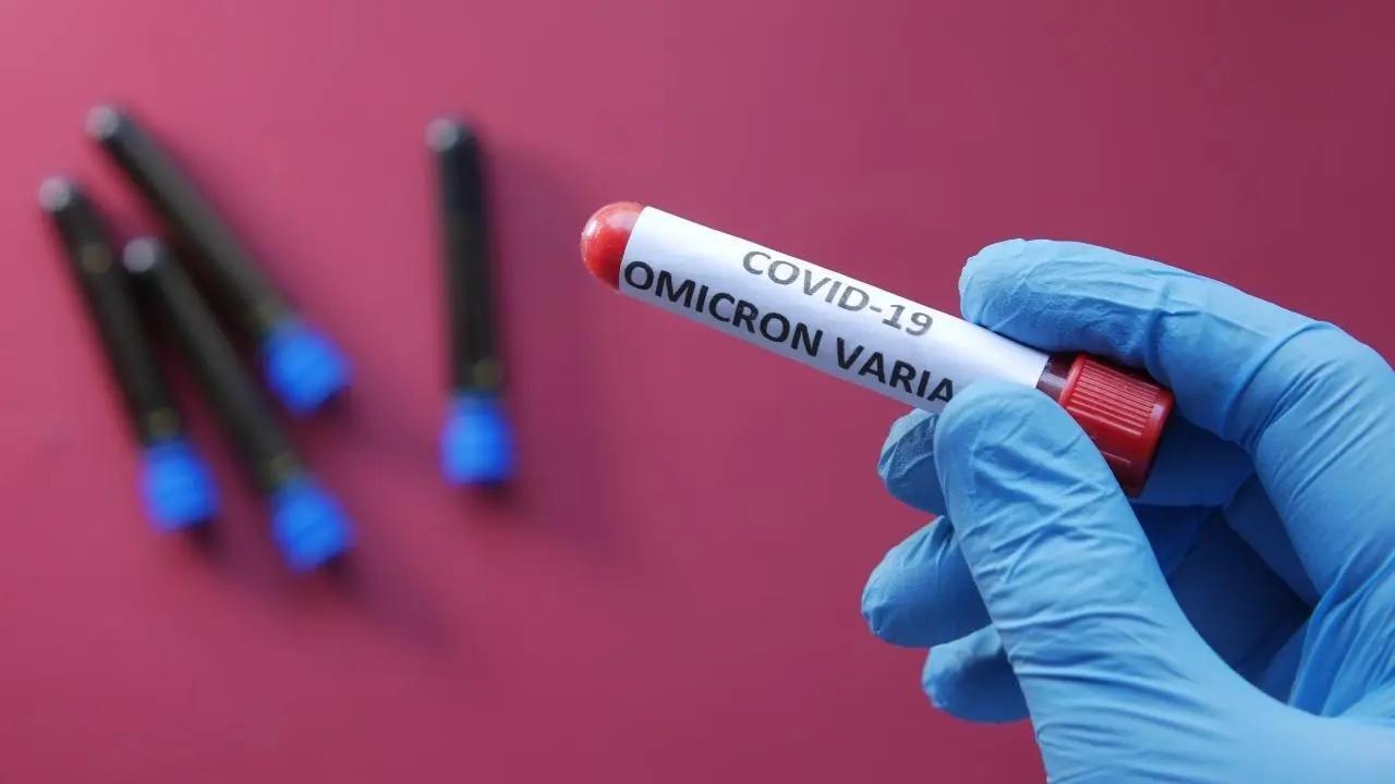 India records 2,424 new coronavirus infections