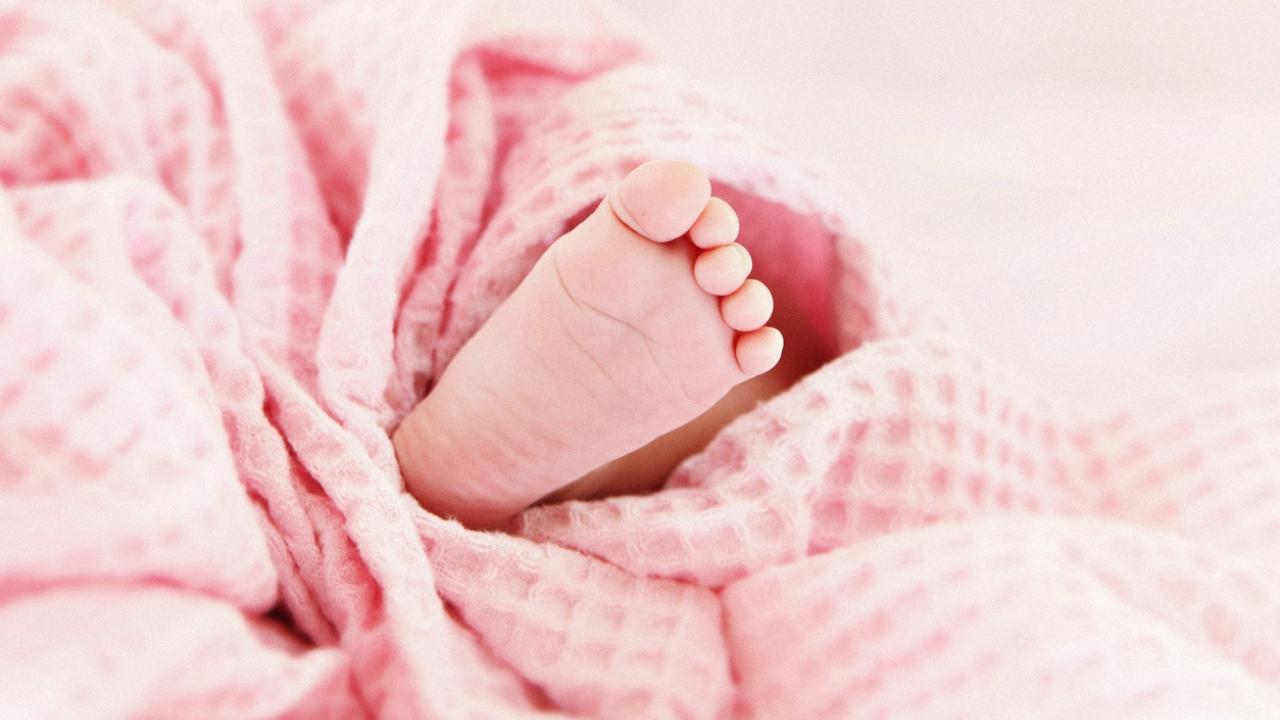 Newborn girl rescued from garbage dump in Delhi, discharged from hospital