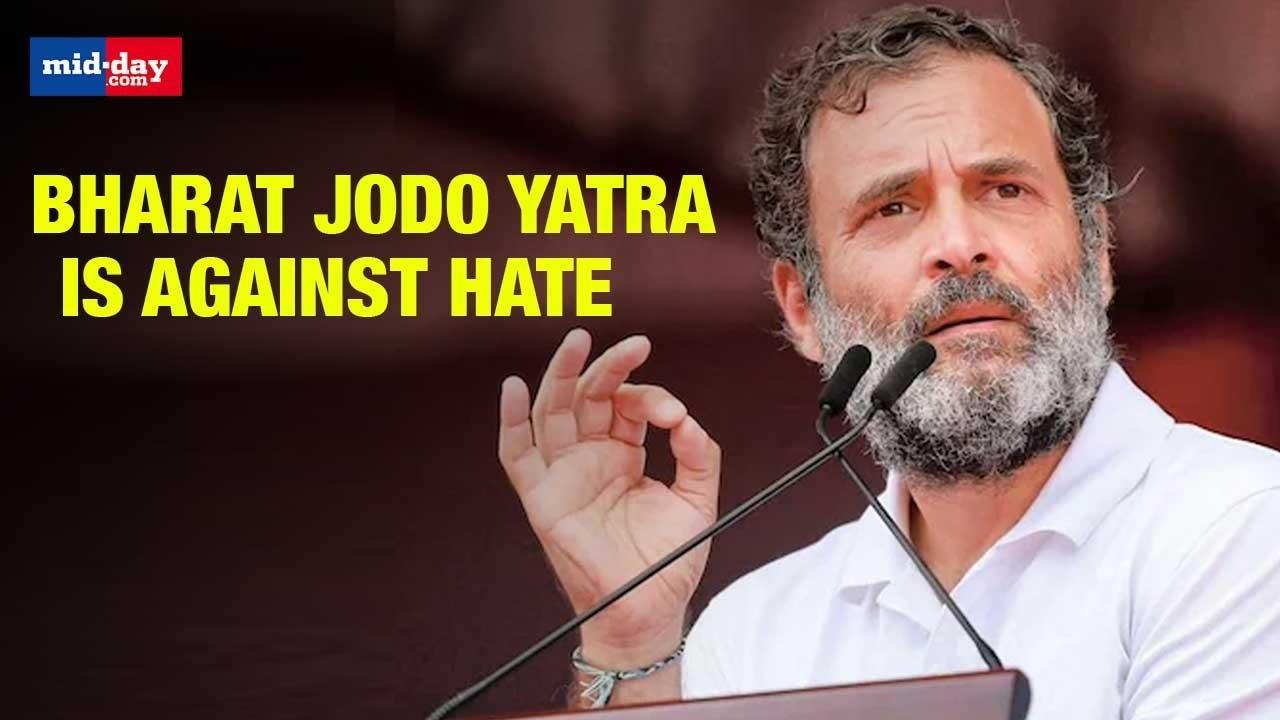 'Bharat Jodo Yatra Is Against Hate, Which BJP Has Spread In The Country' Rahul