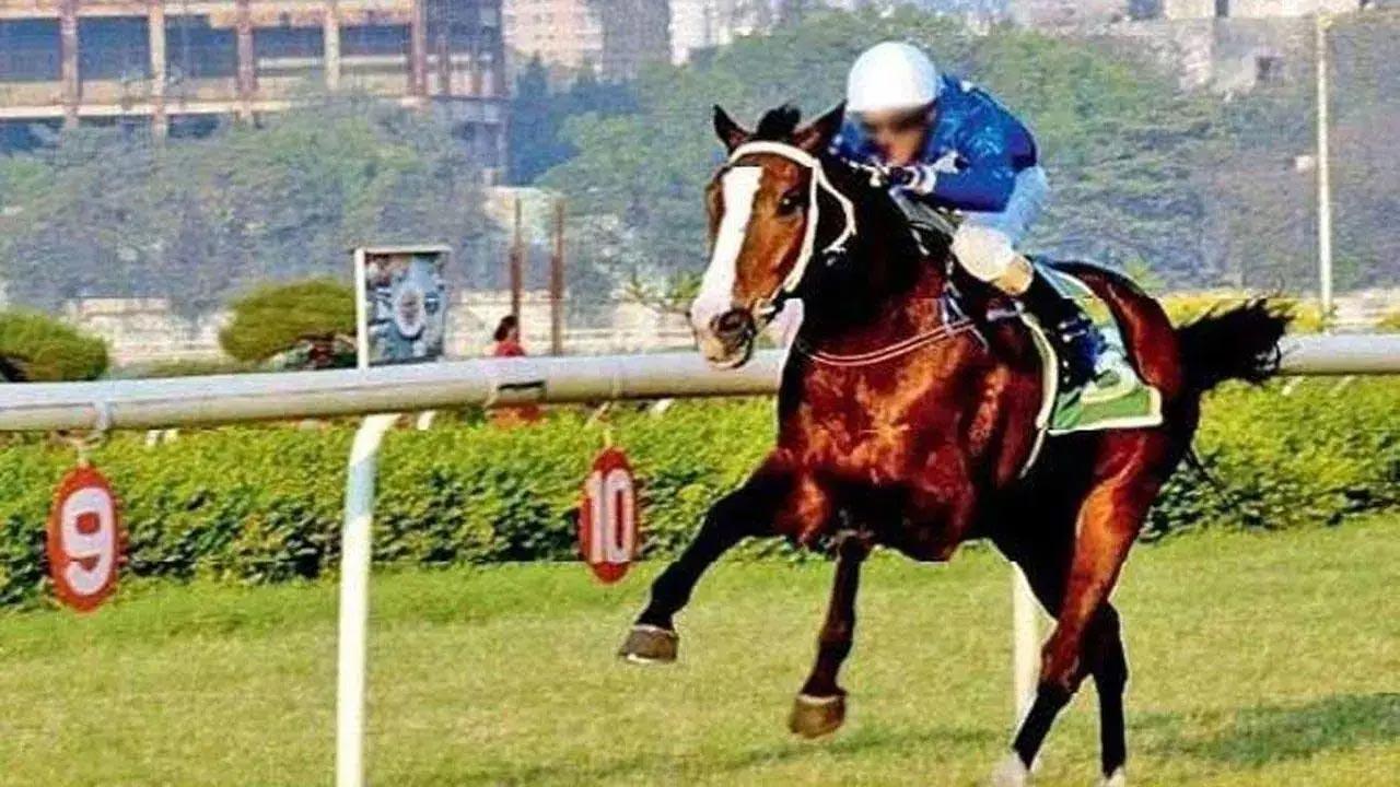 Trainer Pesi Shroff holds two aces in Betway Pune Derby