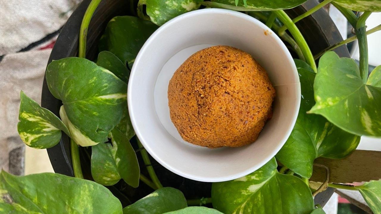 Mumbai chefs share innovative, traditional recipes to make ridge gourd tasty