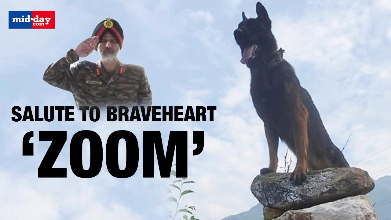 Indian Army Paid rich tribute to Canine Warrior ‘Zoom’