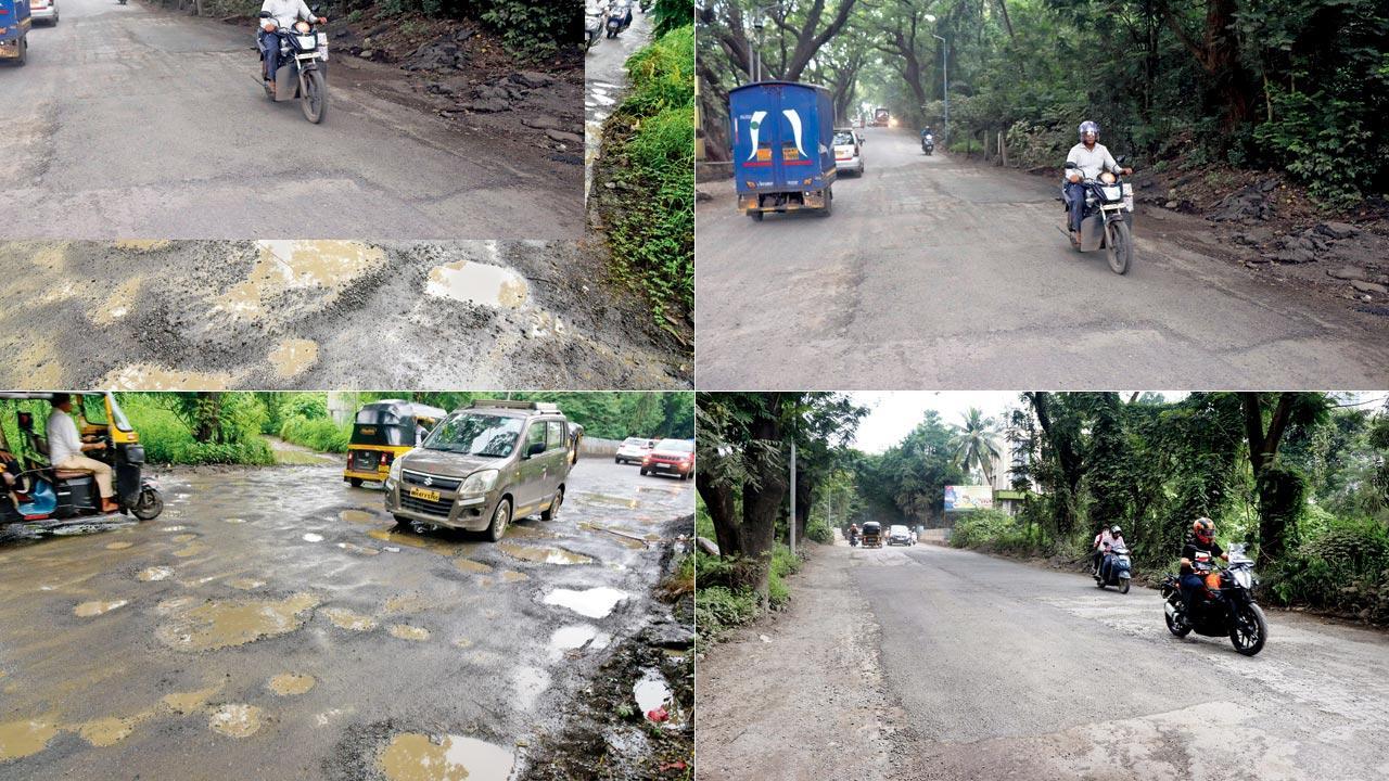 Mumbai: BMC begins repairing Aarey Colony road