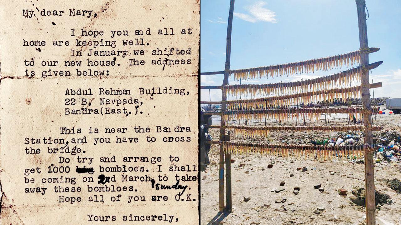 The postcard for bombloes that Rodrigues’ grandmother received in 1958; bombil drying on Uttan beach. Pics Courtesy/Mogan Rodrigues, Navin and Nevit Jiu